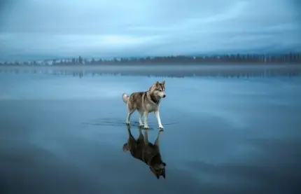 На каких na искать уровни
