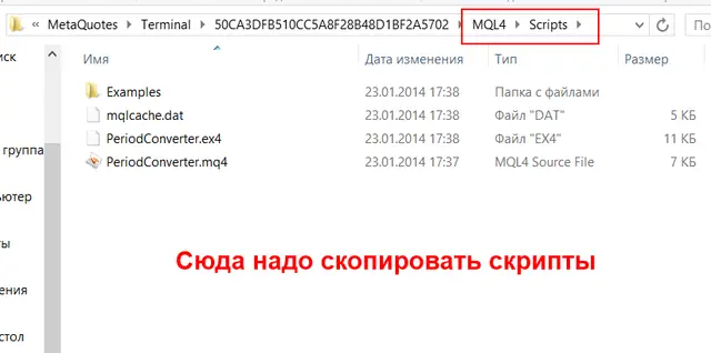 Копирование скриптов