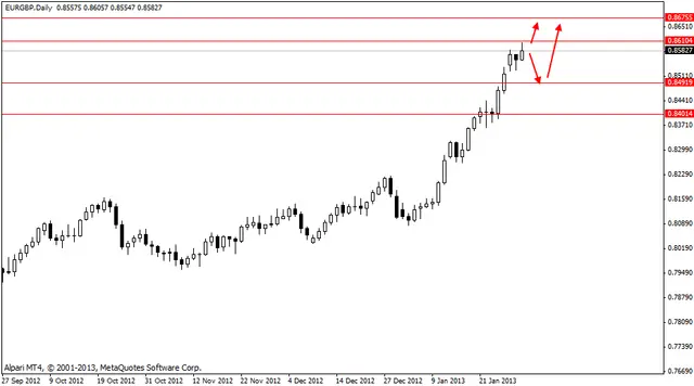 eurgbp 31012013
