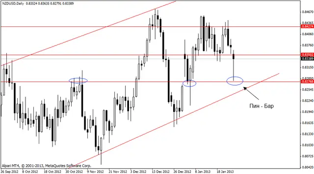 nzdusd 29012013