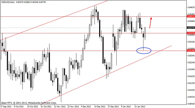 nzdusd 30012013