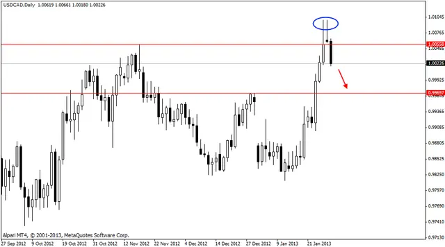 usdcad 30012013