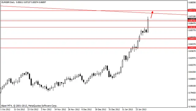 eurgbp 04022013