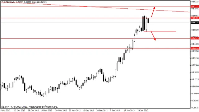 eurgbp 07022013