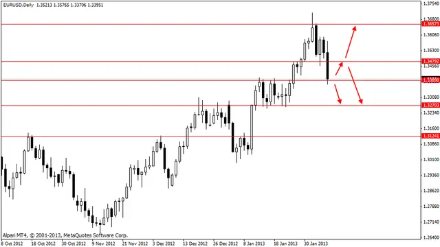 eurusd 08022013