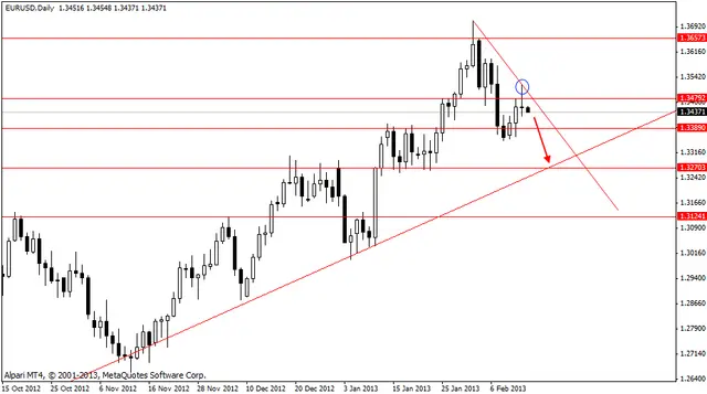eurusd 14022013