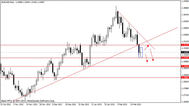 eurusd 25022013