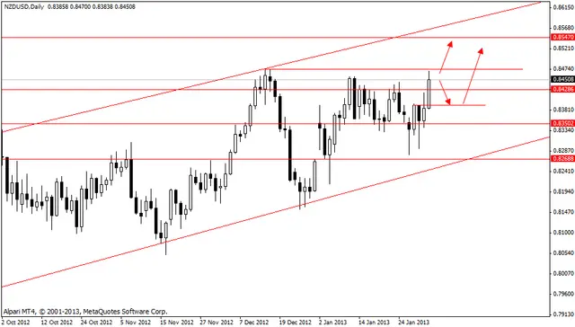 nzdusd 04022013