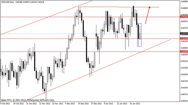 nzdusd 11022013