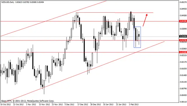 nzdusd 12022013
