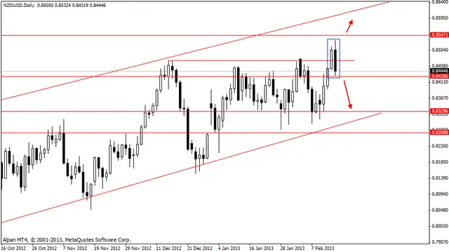 nzdusd 18022013