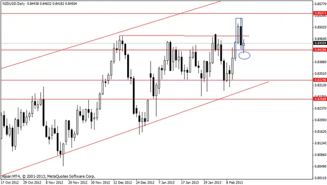 nzdusd 19022013