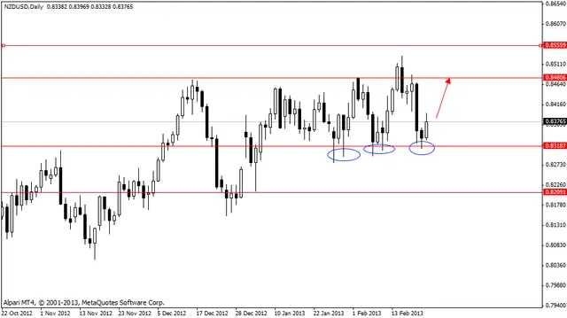 nzdusd 25022013