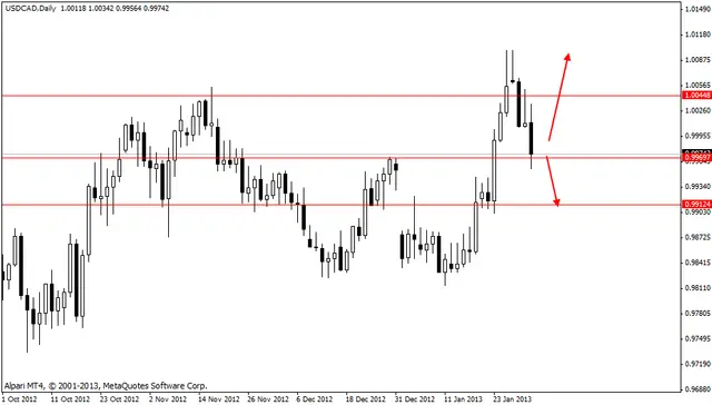 usdcad 01022013