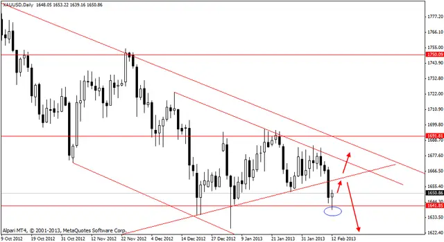 xauusd 13022013