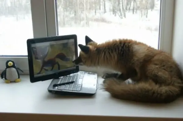 Torgovye signaly v Metatrader 4-5