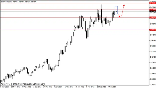 eurgbp 13032013