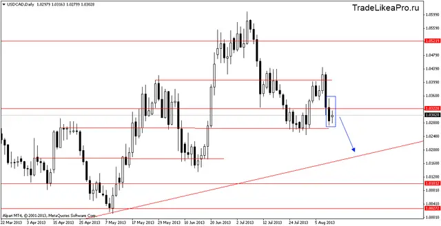 usdcaddaily 13082013