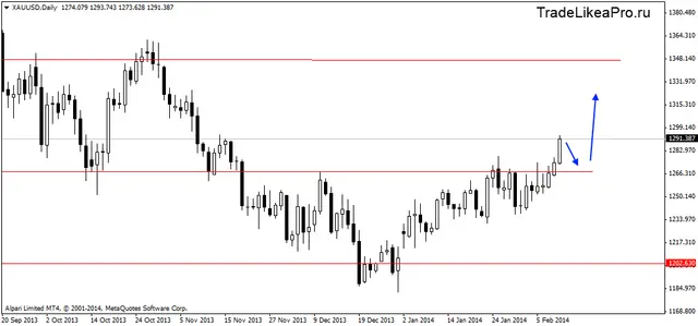 xauusddaily 12022014