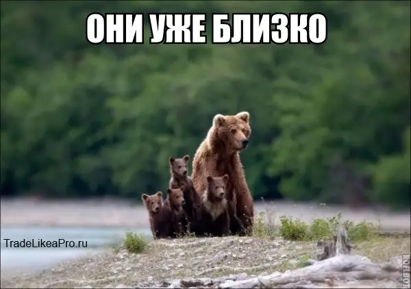 Форекс аналитика на 23.06.14