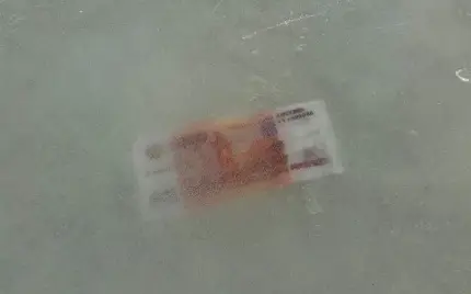 манименеджмент тс ва-банк