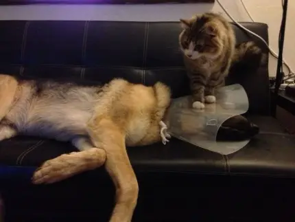Для чего смотреть котировки на выходных