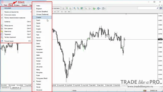 10 Меню (вид -язык) Metatrader 4