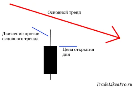 Идея в основе ТС FX1D0