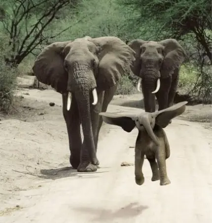 daily_picdump_1620_640_18