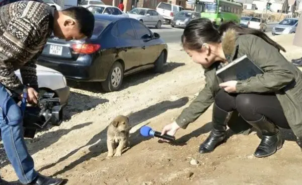 Форекс советник защитник депозита