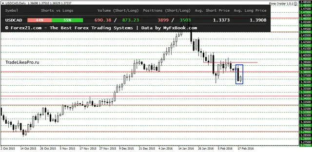 USDCADDaily 19022016