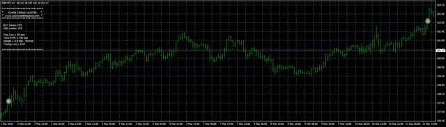 Forex Hunter profit