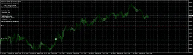 Forex Hunter traling