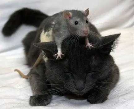 daily_picdump_2048_640_48