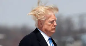 image thumb