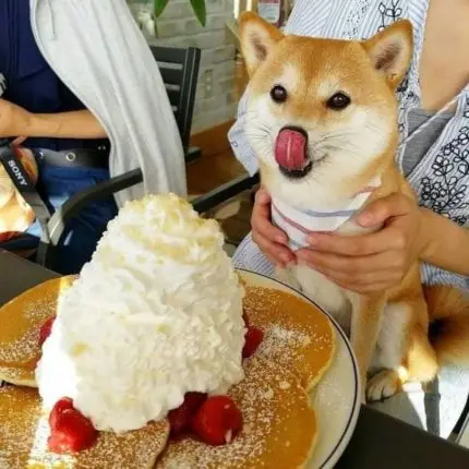 image thumb