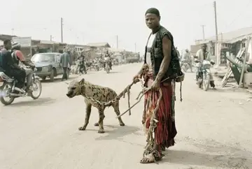 Советник Generic v14 – ночной скальпер на стероидах