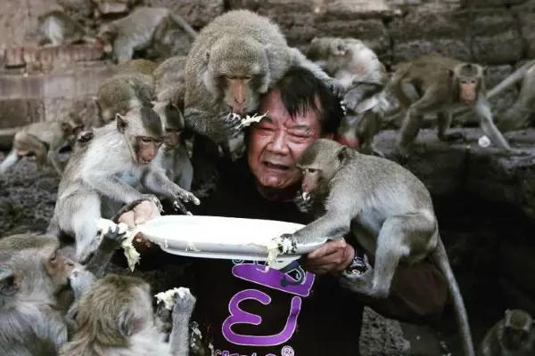 image thumb