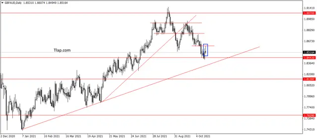 image thumb
