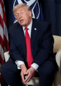 image thumb