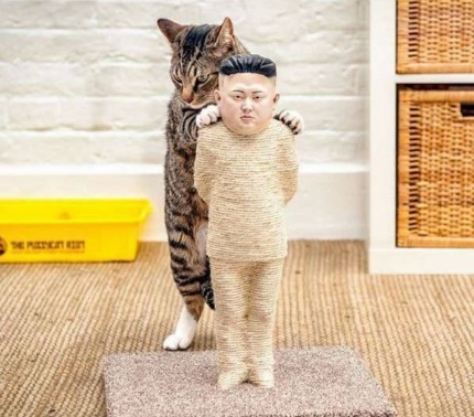 Внтуренний бар заключение