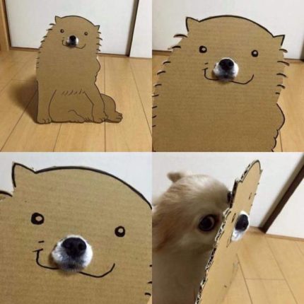image thumb