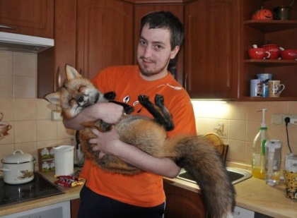 дневной сон полезен