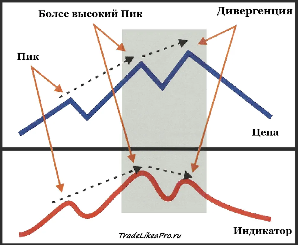 Дивергенция форекс бычий тренд