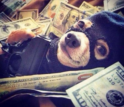 forex ultra filter money management