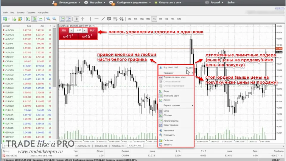 Секция (интерфейс графика) веб-версии MT 4