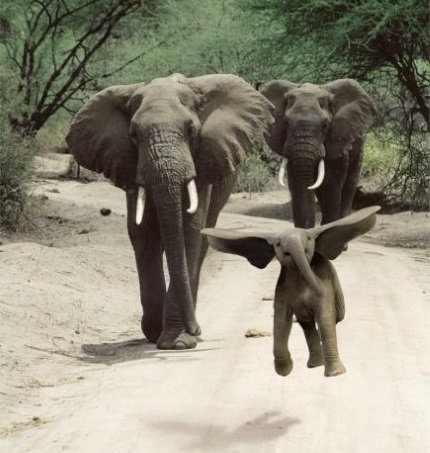 daily_picdump_1620_640_18