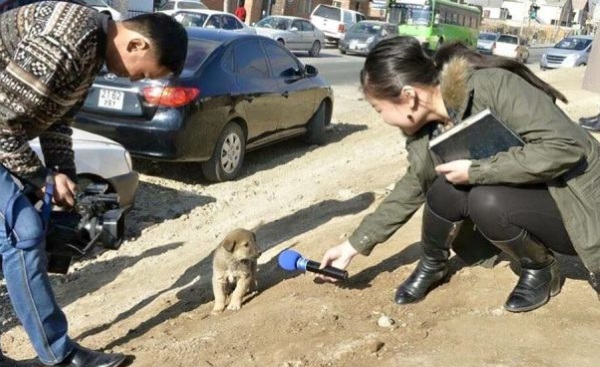 Форекс советник защитник депозита