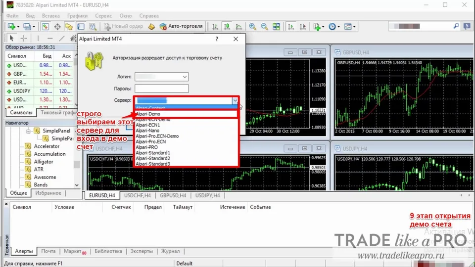 Первый способ открытия демо счета Alpari 9 этап
