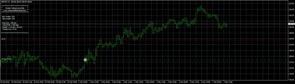 Forex Hunter traling